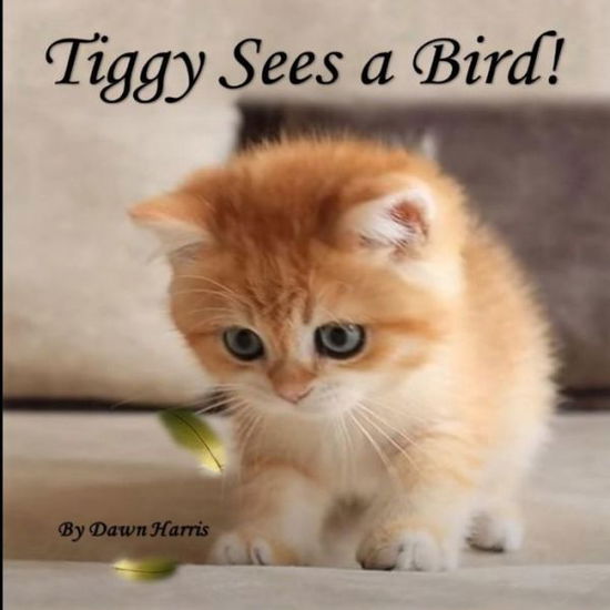 Cover for Dawn Harris · Tiggy Sees a Bird! (Paperback Book) (2021)