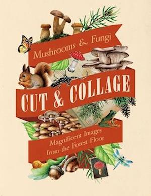 Cover for Earth Aware Editions · Cut &amp; Collage Mushrooms and Fungi: Magnificent Images from the Forest Floor (Paperback Book) (2025)