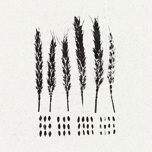 Cover for Lo! · The Gleaners (CD) (2023)