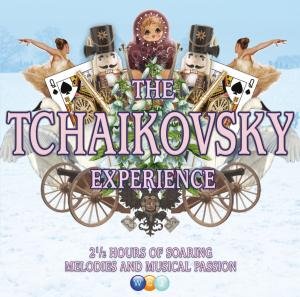 Cover for Tchaikovsky · Tchaikovsky Experience (CD) (2020)
