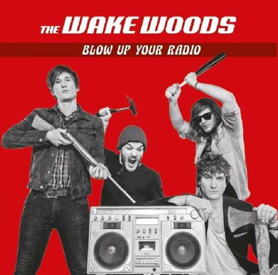 Cover for The Wake Woods · Blow Up Your Radio (LP) (2018)