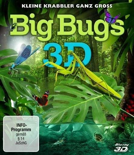 Big Bugs 3d-kleine Krabbler Ganz Gro - - - Elokuva - POLYBAND-GER - 4006448361488 - perjantai 26. huhtikuuta 2013