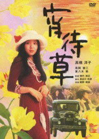 Cover for Takahashi Yoko · Yoimachigusa (MDVD) [Japan Import edition] (2013)