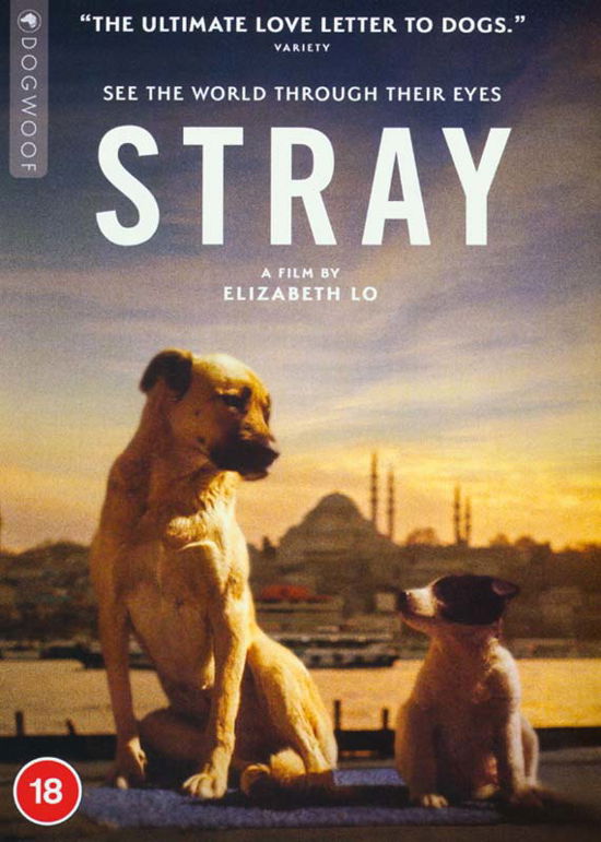 Stray - Fox - Film - Dogwoof - 5050968003488 - 26. april 2021