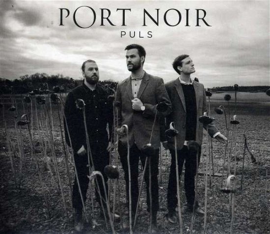 Cover for Port Noir · Puls (CD) (2013)