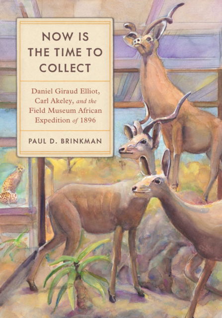 Cover for Paul D. Brinkman · Now Is the Time to Collect: Daniel Giraud Elliot, Carl Akeley, and the Field Museum African Expedition of 1896 (Paperback Book) (2024)
