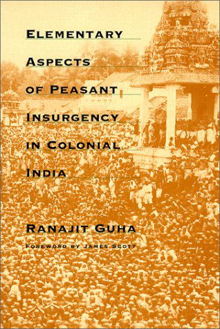 Cover for Ranajit Guha · Elementary Aspects of Peasant Insurgency in Colonial India (Paperback Book) (1999)