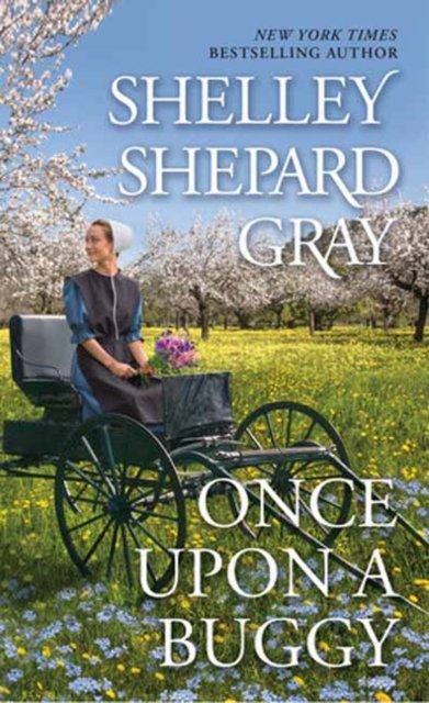 Shelley Shepard Gray · Once Upon a Buggy (Taschenbuch) (2024)