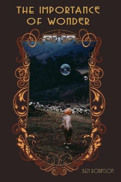 Cover for Ben Robinson · The Importance of Wonder (Paperback Bog) (2015)