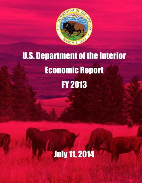 Cover for U S Department of the Interior · U.s. Department of the Interior Economic Report Fy 2013 July 11, 2014 (Paperback Book) (2015)