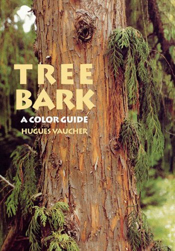 Tree Bark: A Color Guide - Hugues Vaucher - Kirjat - Workman Publishing - 9781604692488 - perjantai 17. syyskuuta 2010