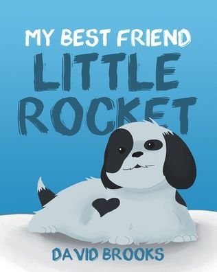 Cover for David Brooks · My Best Friend Little Rocket (Paperback Bog) (2020)