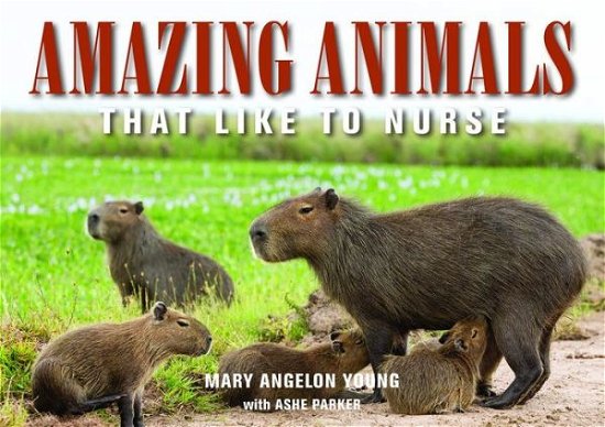 Cover for Young, Mary Angelon (Mary Angelon Young) · Amazing Animals: That Like to Nurse (Paperback Book) (2020)