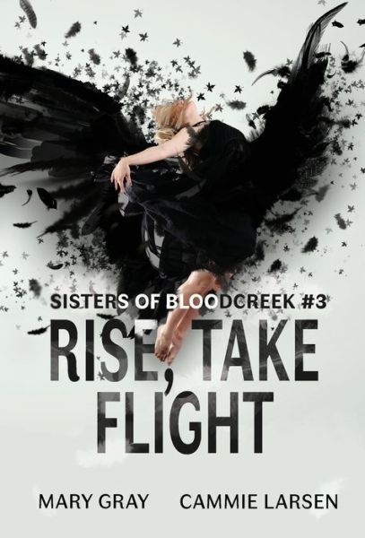 Cover for Mary Gray · Rise, Take Flight (Hardcover Book) (2019)