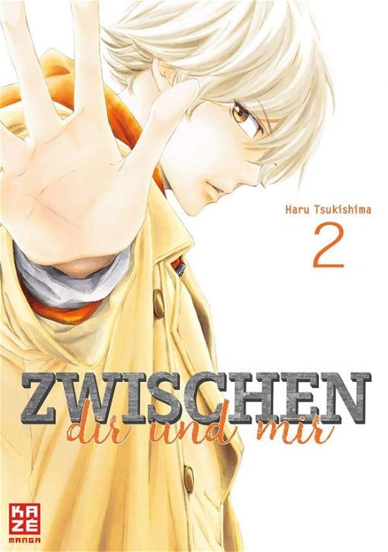 Cover for Tsukishima · Zwischen dir und mir 02 (Bok)