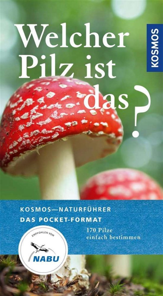Cover for Flück · Welcher Pilz ist das? (Bog)