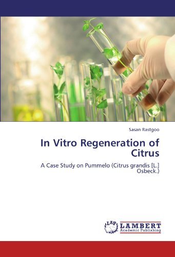 Cover for Sasan Rastgoo · In Vitro Regeneration of Citrus: a Case Study on Pummelo (Citrus Grandis [l.] Osbeck.) (Paperback Book) (2011)