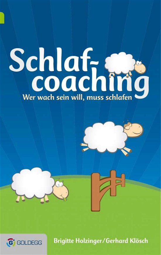 Cover for Holzinger · Schlafcoaching (Book)
