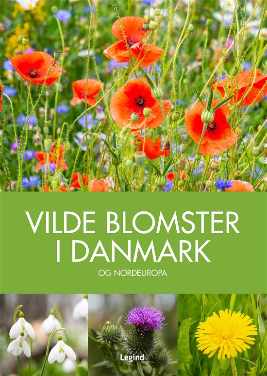 Cover for Andrew Cleave · Miniguide: Vilde blomster i Danmark (Innbunden bok) [2. utgave] (2022)