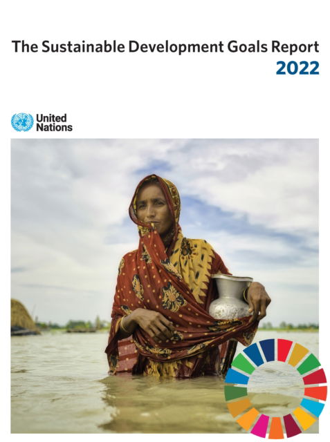 Cover for United Nations: Department of Economic and Social Affairs · The sustainable development goals report 2022 (Paperback Book) (2022)