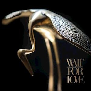Cover for Pianos Become the Teeth · Wait for Love (Trans Clr) (LP) [Coloured edition] (2018)