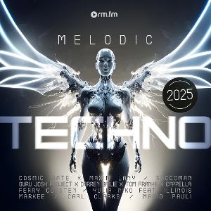 Cover for &quot;Melodic Techno 2025           &quot; · Melodic Techno 2025 (LP) (2025)