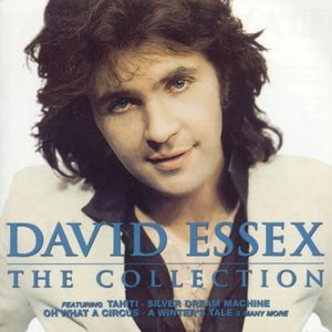 Cover for David Essex · The Collection (CD)