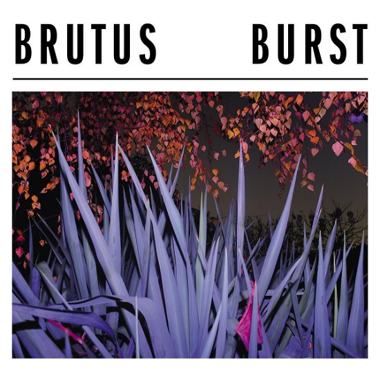 Cover for Brutus · Burst (LP) (2020)