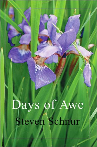 Cover for Steven Schnur · Days of Awe (Paperback Book) (2004)