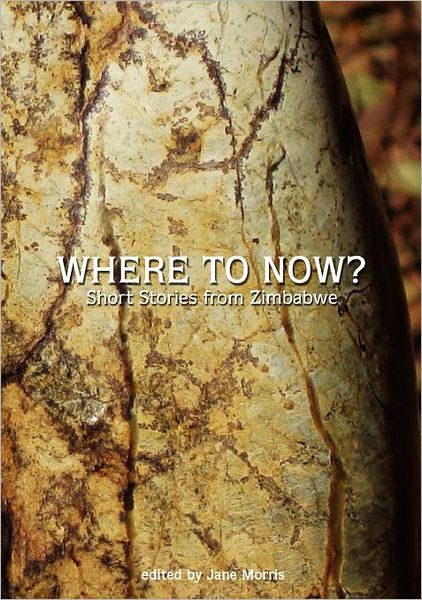 Cover for Jane Morris · Where to Now? Short Stories from Zimbabwe (Paperback Book) (2011)