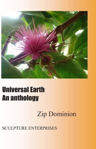 Cover for Zip Dominion · Universal Earth (Taschenbuch) (2013)