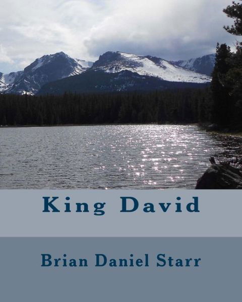 Cover for Mr Brian Daniel Starr · King David (Taschenbuch) (2014)