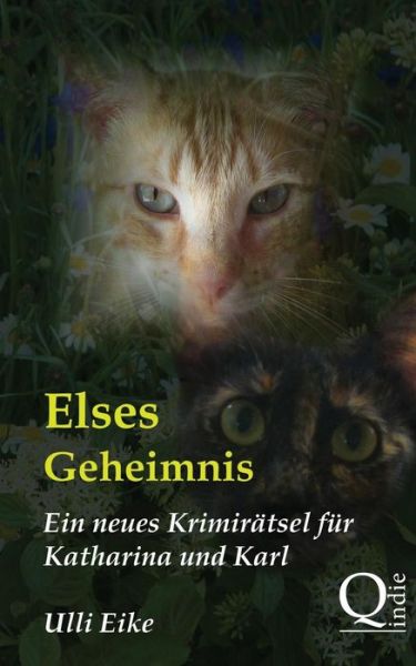 Elses Geheimnis: Ein Neues Krimiratsel Fur Katharina Und Karl - Ulli Eike - Livres - Createspace - 9781500900489 - 25 août 2014