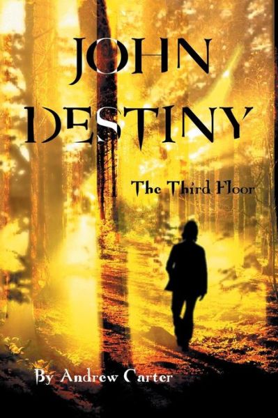 Cover for Andrew Carter · John Destiny (Paperback Book) (2016)