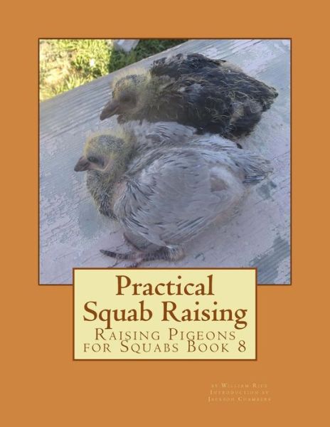 Cover for William Rice · Practical Squab Raising: Raising Pigeons for Squabs Book 8 (Pocketbok) (2015)