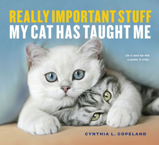 Cover for Cynthia L. Copeland · Really Important Stuff My Cat Has Taught Me (Paperback Book) (2017)