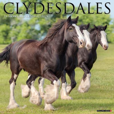 Cover for Willow Creek Press · Clydesdales 2025 12 X 12 Wall Calendar (Calendar) (2024)