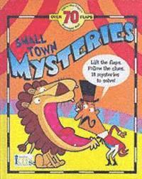 Cover for Tish Rabe · Small Town Mysteries - Treasure Hunt S. (Hardcover Book) (2006)