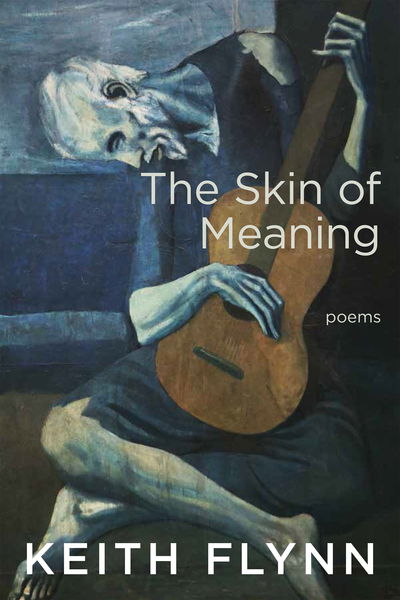 Cover for Keith Flynn · The Skin of Meaning (Paperback Book) (2020)