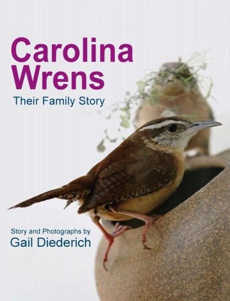 Cover for Gail Diederich · Carolina Wrens: Their Family Story (Hardcover Book) (2015)