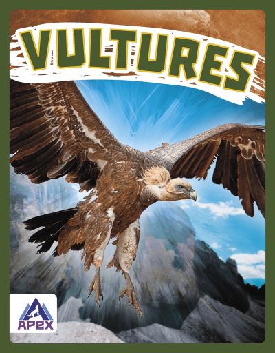 Cover for Megan Gendell · Vultures - Birds of Prey (Hardcover Book) (2022)