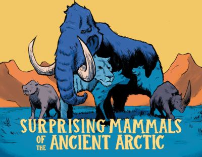 Cover for Dana Hopkins · Surprising Mammals of the Ancient Arctic: English Edition - Nunavummi Reading Series (Gebundenes Buch) [English edition] (2022)