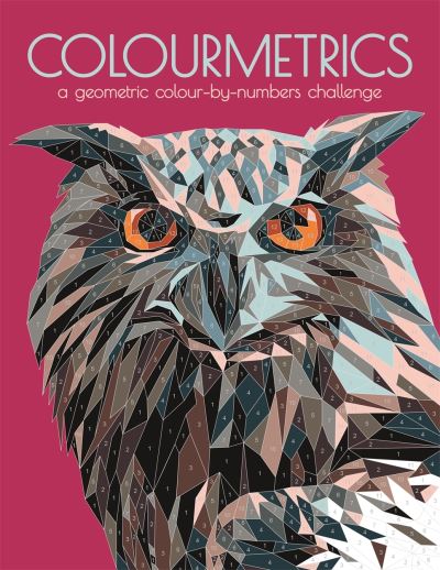 Cover for Max Jackson · Colourmetrics: A Geometric Colour by Numbers Challenge (Pocketbok) (2021)