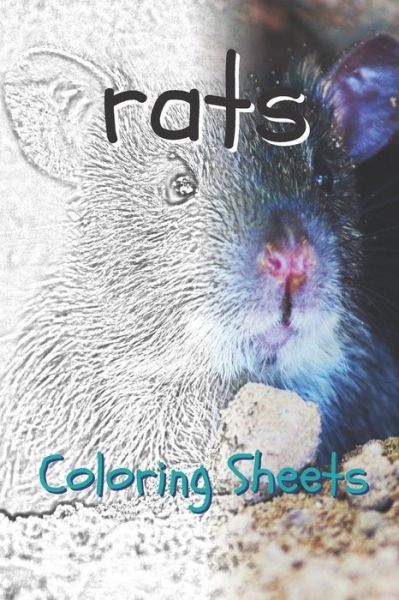 Cover for Julian Smith · Rat Coloring Sheets (Pocketbok) (2019)