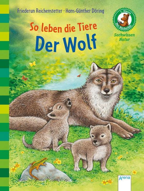 Cover for Reichenstetter · So leben die Tiere.Wolf (Book)