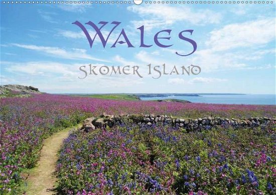 Cover for Uhl · WALES Skomer Island (Wandkalender 2 (Buch)