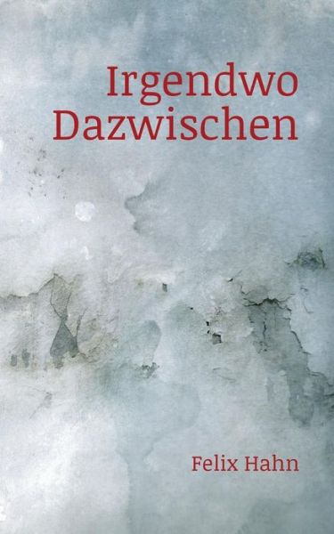 Cover for Felix Hahn · Irgendwo Dazwischen (Paperback Book) (2019)