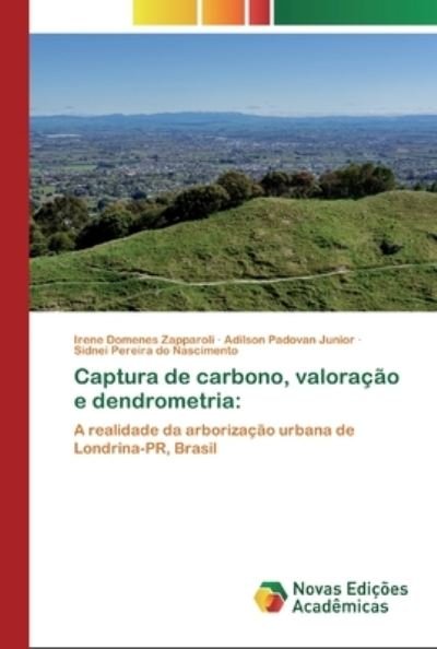 Cover for Zapparoli · Captura de carbono, valoração (Book) (2020)