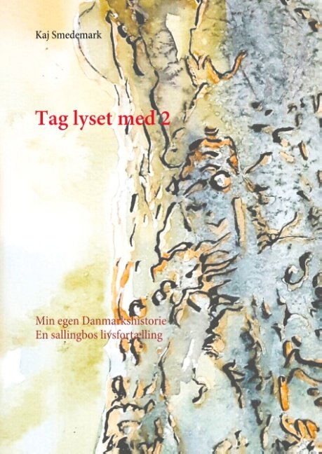 Tag lyset med 2 - Kaj Smedemark - Bøger - Books on Demand - 9788743003489 - 30. november 2018