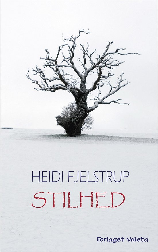 Cover for Heidi Fjelstrup · Stilhed (Lydbog (MP3)) [1. udgave] [MP3-CD] (2014)